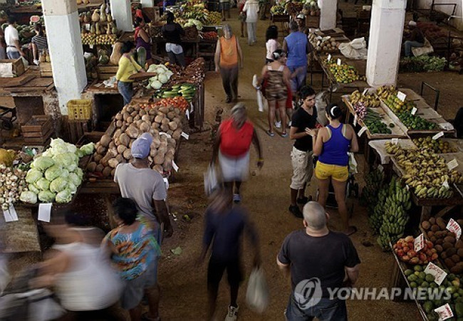 천정부지로 치솟는 식량 가격